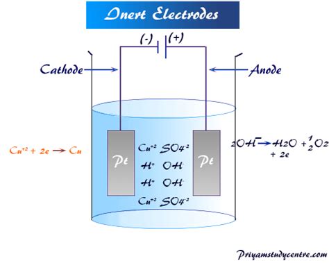 Electrode - Types, Definition, Uses