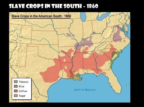 Southern Plantations & Slavery