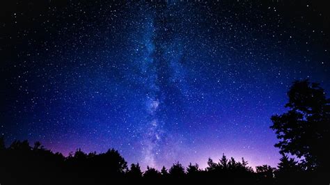 Silhouette of trees under clear sky at nighttime, space, stars, nebula ...