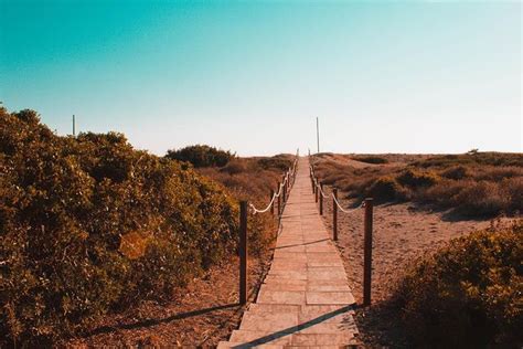 Sand Beaches in Tarquinia - BeachAtlas