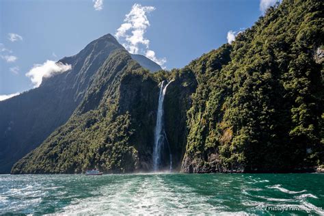 Guide to Visiting Milford Sound in New Zealand - Truth of Traveling