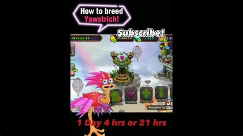 How to breed Yawstrich in msm!|Rare Maw YT - YouTube