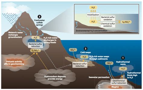 Overview of environmental sources and fate of hydrogen sulfide (H2S) in ...