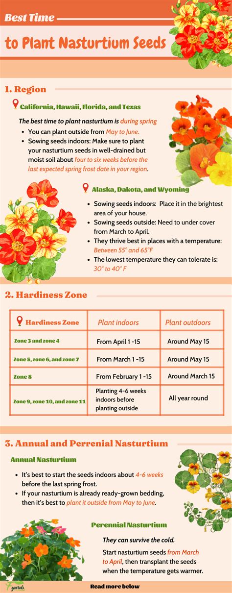 When to Plant Nasturtium Seeds? - The Best Time