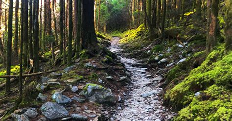 Gatlinburg Hiking Trails in the Great Smoky Mountains