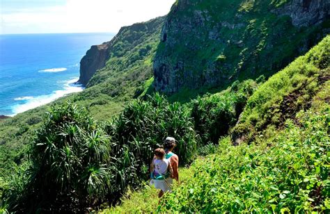 Photos that show what life is like on Pitcairn Island, which has 50 ...