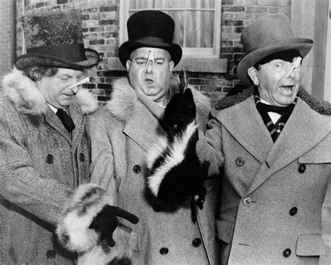 The Three Stooges Funny Moments | lupon.gov.ph