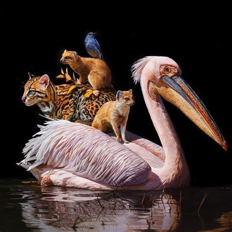 Lisa Ericson painting | Animal paintings, Unusual animals, Realistic ...