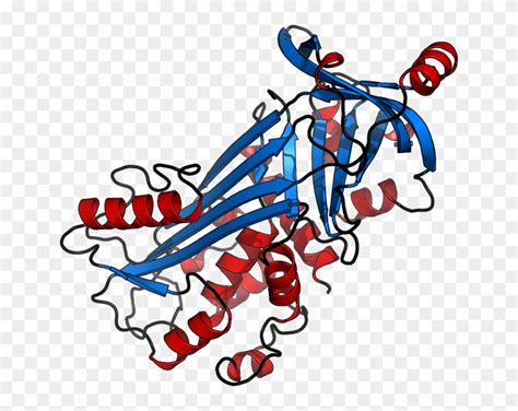 Science - Protein Structure Cartoon - Free Transparent PNG Clipart ...