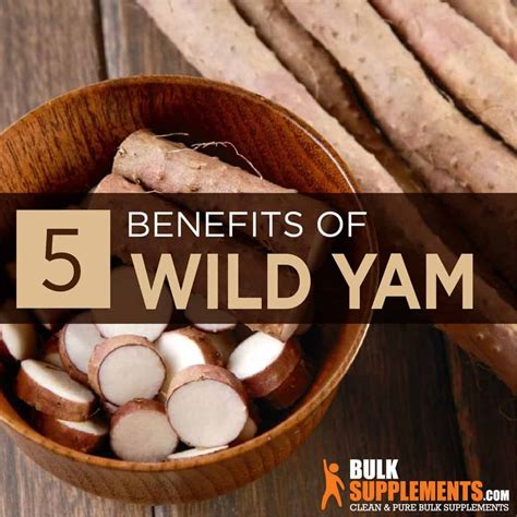 Wild Yam Root Extract: Benefits, Side Effects & Dosage