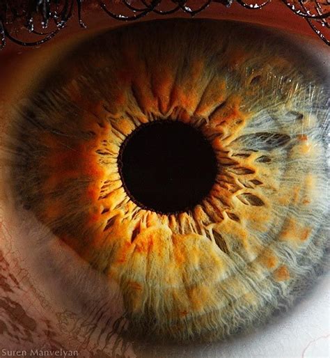 a beautiful close up of an iris by physics teacher Suren Manvelyan ...