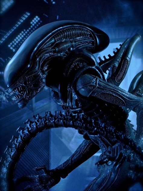 🔥 [70+] Alien Movie Wallpapers | WallpaperSafari