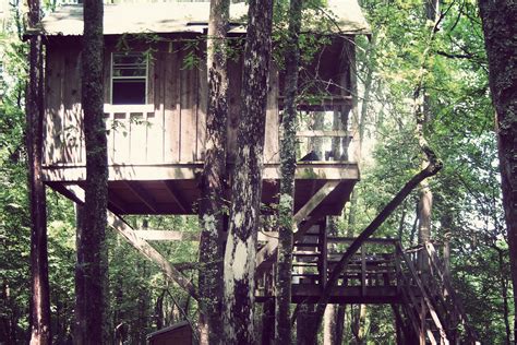 Edisto River Treehouses | Gallivant