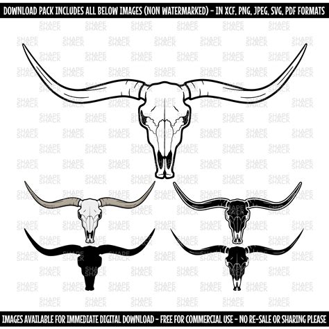 Longhorn Skull Cow Head Bull Cattle Skeleton Horns Clipart Symbol ...