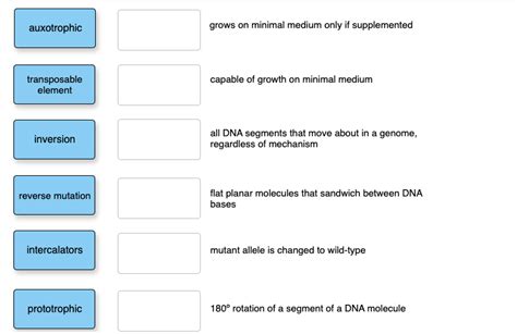 Solved auxotrophic grows on minimal medium only if | Chegg.com