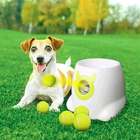 Top 10 Best Automatic Dog Ball Launcher : Reviews & Buying Guide - Katynel