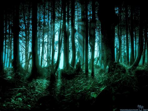 Spooky Forest Wallpapers - Top Free Spooky Forest Backgrounds ...