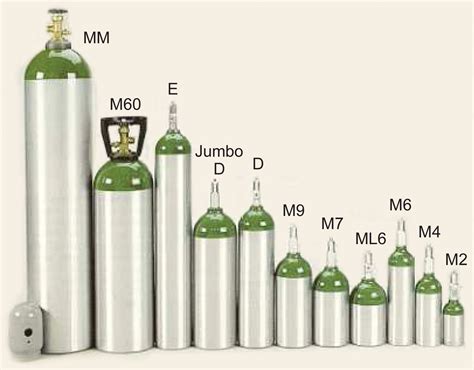 Options for Home Oxygen Therapy Equipment: Storage and Metering of ...