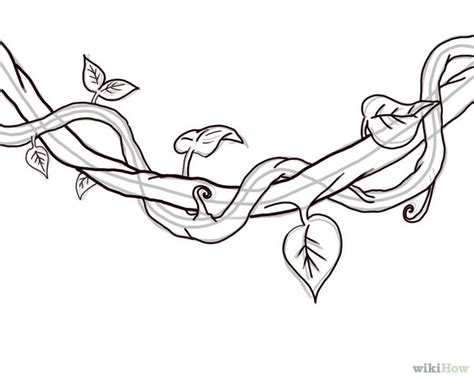 Thorn Vine Drawing at GetDrawings | Free download