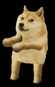 Original Doge Meme Gif