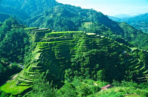 Banaue Rice Terraces Wallpapers - Top Free Banaue Rice Terraces ...