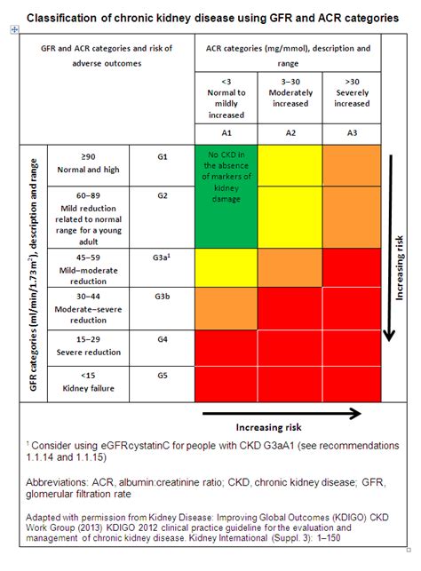 Kidney blood tests explained - Chronic Kidney Disease Explained