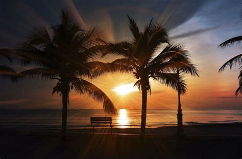 Beach Sunset Images | Free Photos, PNG Stickers, Wallpapers ...