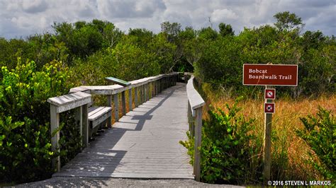 Everglades National Park | BOBCAT BOARDWALK TRAIL