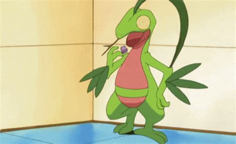 Grovyle Fainted GIF - Grovyle Fainted Poisoned - Discover & Share GIFs