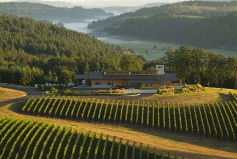 A Guide to Oregon Wine - Imbibe Magazine