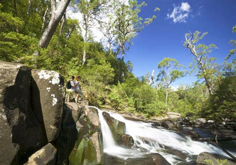 Barrington Tops walks and hikes - Visit NSW