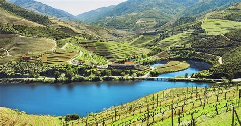 Full-Day Douro Wine Tour with Lunch and River Cruise | GetYourGuide