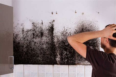 Black Mold Removal | 3Rs Construction & Remodeling