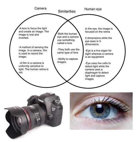 Kevin's Photography: Differences and Similarities between camera and ...