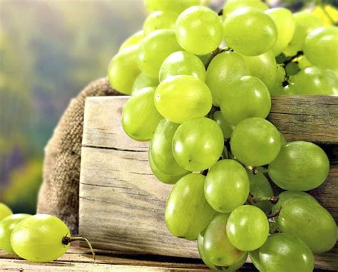 8 beneficios de las uvas verdes y porque debes comerlas todas las ...