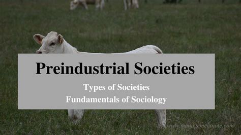 Preindustrial Societies - Types of Societies | Fundamentals of Sociology