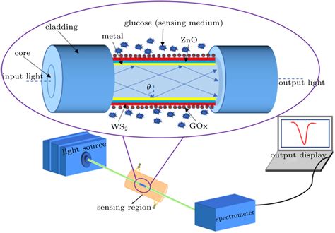 Sensitivity enhancement of WS 2 -coated SPR-based optical fiber ...