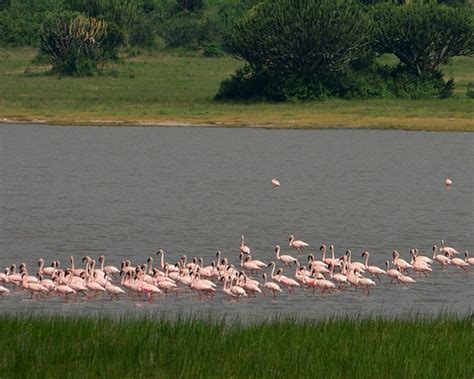 Lake Kwatwe Uganda Safaris