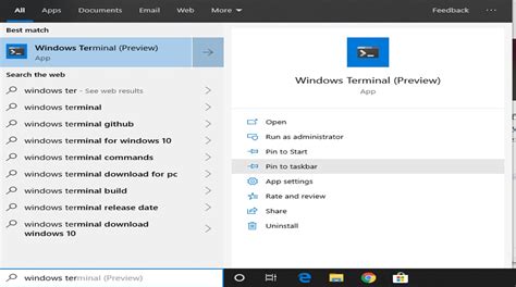 Windows terminal install command - sasfire