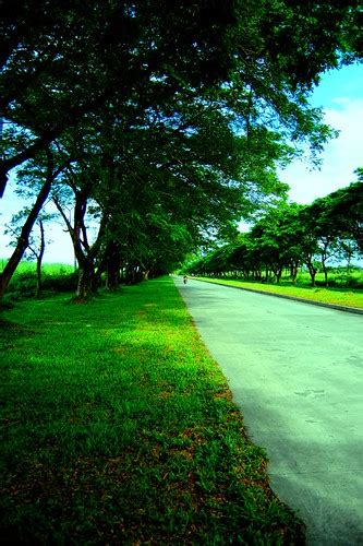 Hacienda Luisita | The road inside Hacienda Luisita in Tarla… | Flickr