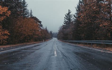 4K Wallpaper: Fall Landscape with Wet Road and Trees