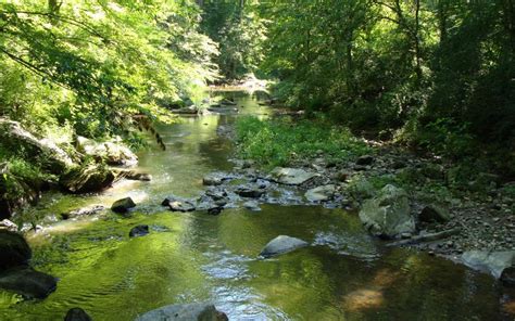 Embark on the Patuxent Challenge: Discover Maryland's Scenic Patuxent River