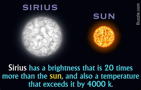 Image result for sirius b eclipse | Sirius star, Sirius, Star facts