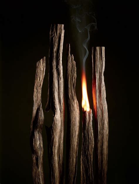 Burning oud wood | Fragrance photography, Fragrance editorial, Incense ...