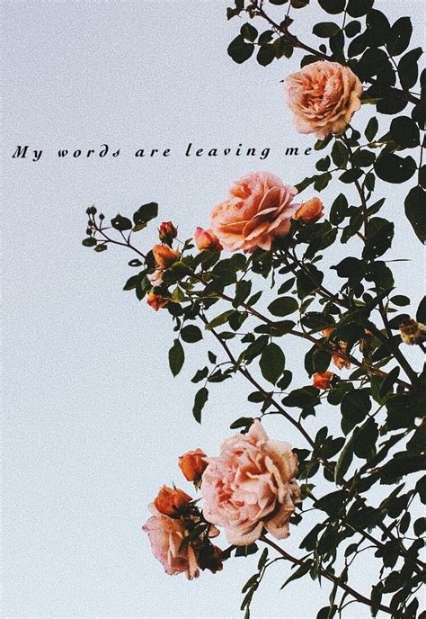 Aesthetic Flower With Words, aesthetic flower quote HD phone wallpaper ...