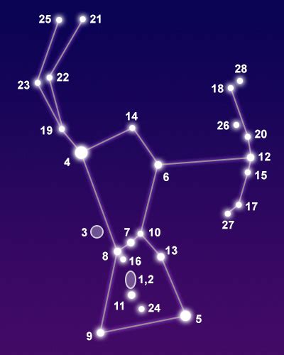 Constellation Orion - The Constellations on Sea and Sky