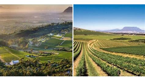 Wine Farms Near Me - Businesses in South Africa