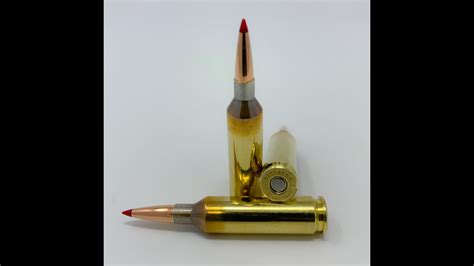 22 Creedmoor VS 22 ARC What one is better?!!?! #hornady #arc #224 ...