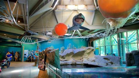 10 Top-Rated Things to Do in Vancouver with Kids - WOW-MAPLE