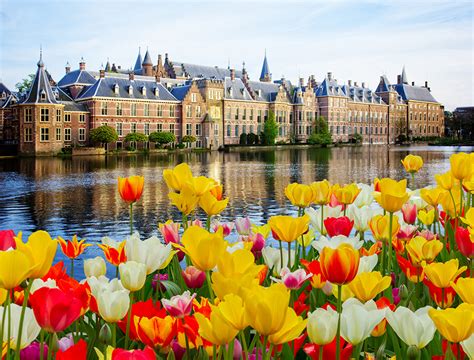 Holland Tulips: A History of the Dutch Trade | Petal Talk